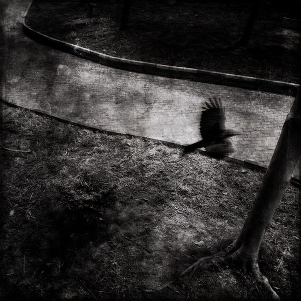 在线永久免费轰炸云呼